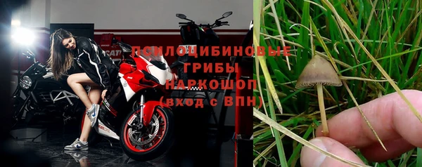 мяу мяу мука Балабаново